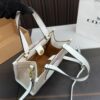 Replica Coach Bag 21*21CM