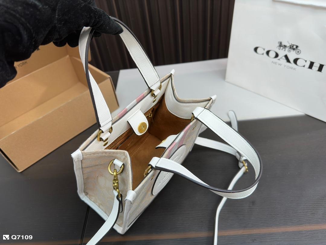 Replica Coach Bag 21*21CM