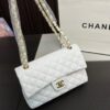 Replica Chanel Bag 25*15CM