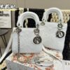 Replica Dior Bag 17CM/20CM