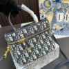 Replica Dior Bag 20*13CM