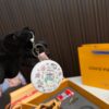 Replica Louis Vuitton Bag set 13*16CM