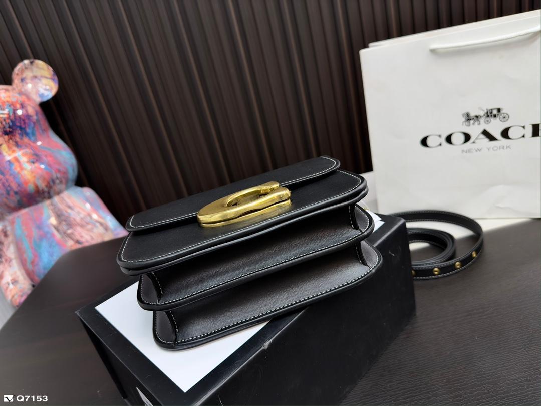Replica Coach Bag 20*15CM