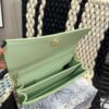 Replica Dior Bag 21*11CM