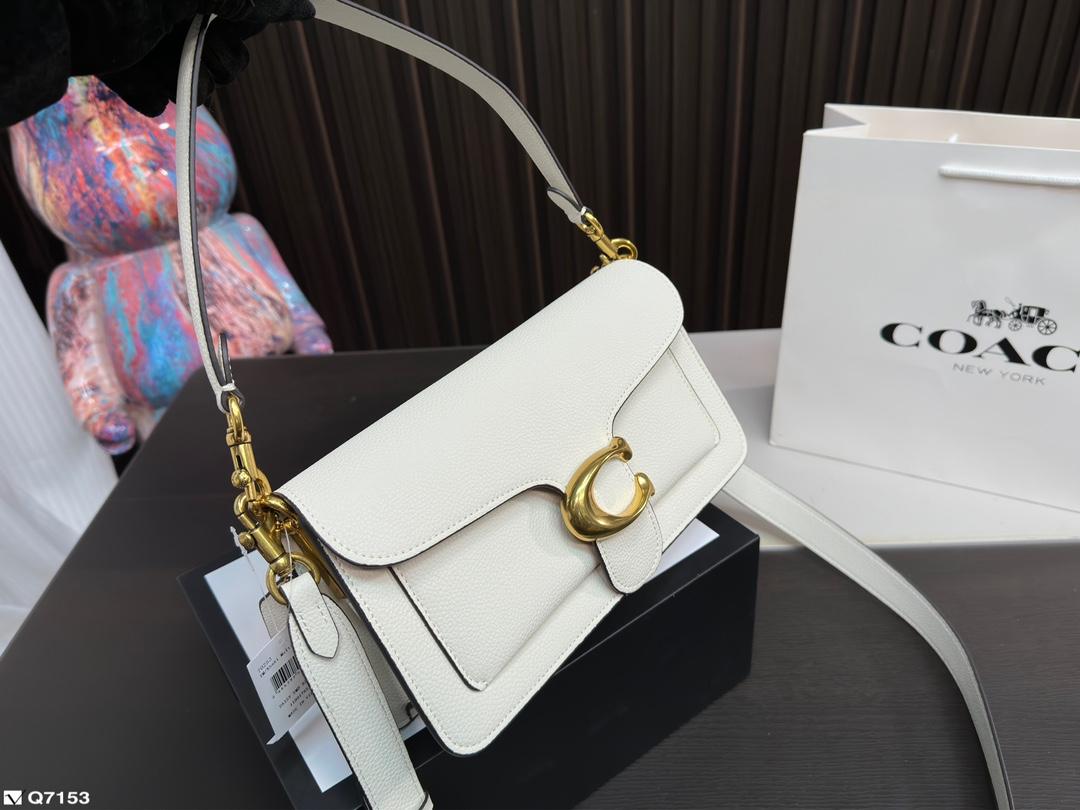 Replica Coach Bag 13*25CM