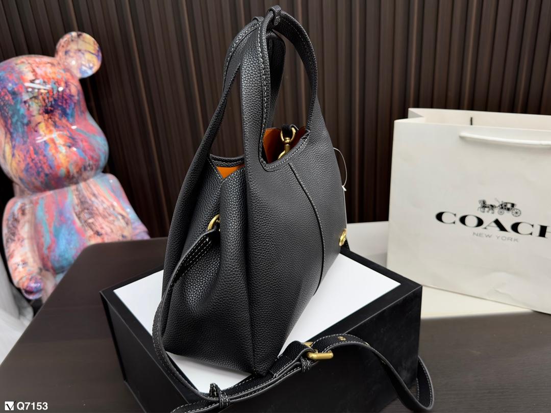 Replica Coach Bag 25*18CM