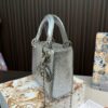 Replica Dior Bag  14*17*7CM