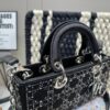 Replica Dior Bag 26*13.5CM