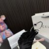 Replica Celine Bag 18*15CM