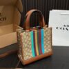 Replica Coach Bag 21*21CM