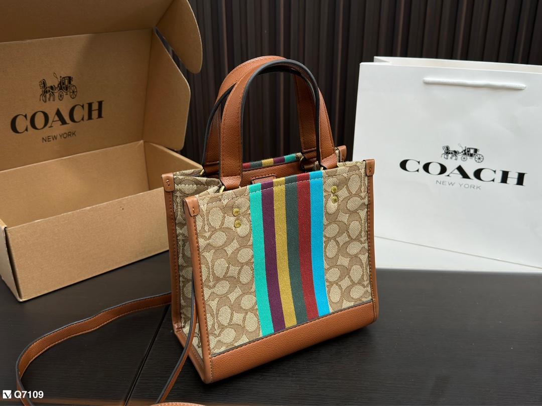 Replica Coach Bag 21*21CM