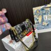 Replica Dior Bag 20*12CM