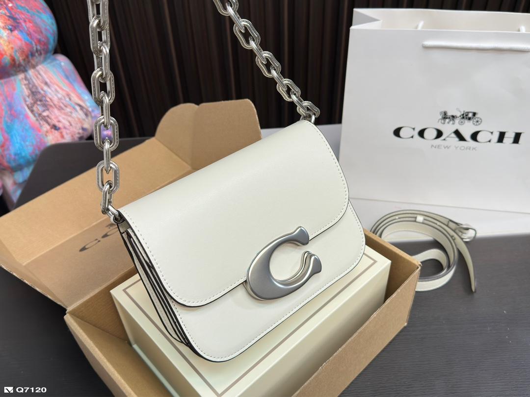 Replica Coach Bag 21*13CM