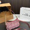 Replica Coach Bag 12*23CM