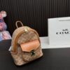 Replica Coach Bag 22*24CM