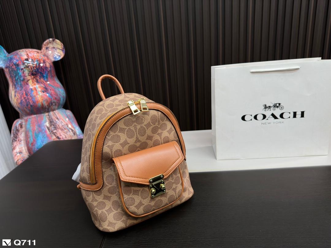 Replica Coach Bag 22*24CM