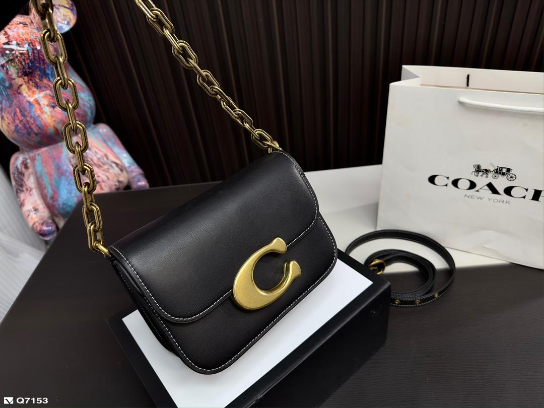 Replica Coach Bag 20*15CM