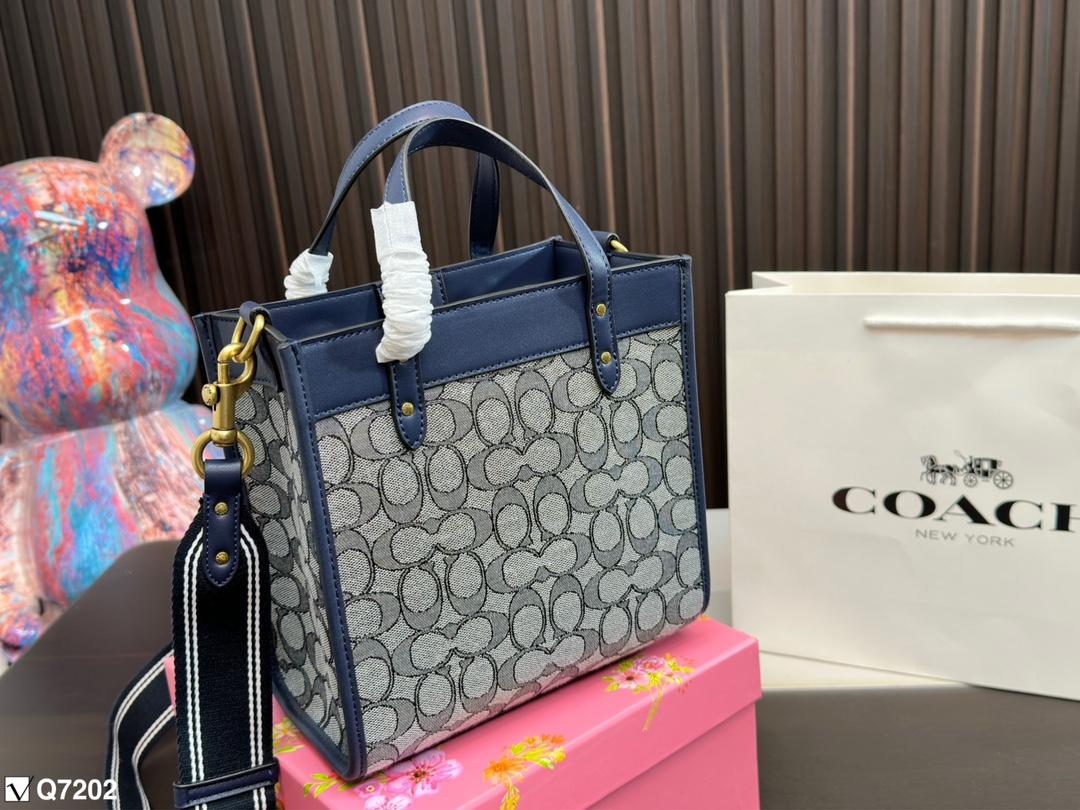 Replica Coach Bag 21CM