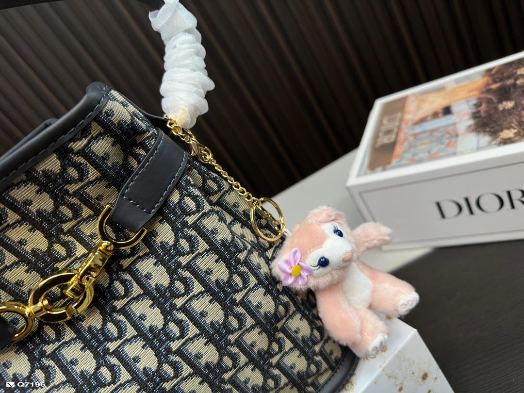 Replica Dior Bag 24*24CM/16*16CM