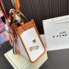 Replica Coach Bag 21*22CM