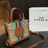 Replica Coach Bag 21*21CM