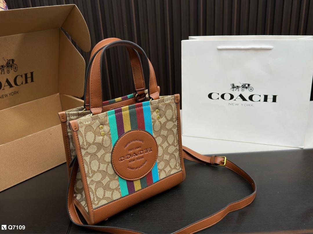 Replica Coach Bag 21*21CM