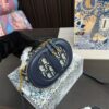 Replica Dior Bag 17*10CM