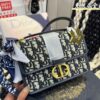 Replica Dior Bag 21*15CM