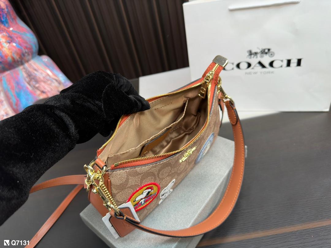 Replica Coach Bag 12*23CM