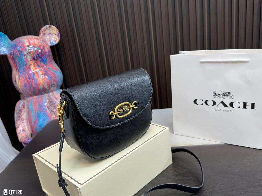 Replica Coach Bag 22*17CM