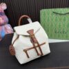 Replica Louis Vuitton Bag 24*25CM
