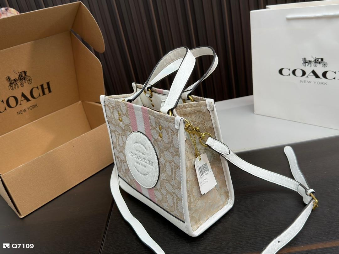 Replica Coach Bag 21*21CM