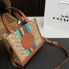 Replica Coach Bag 21*21CM