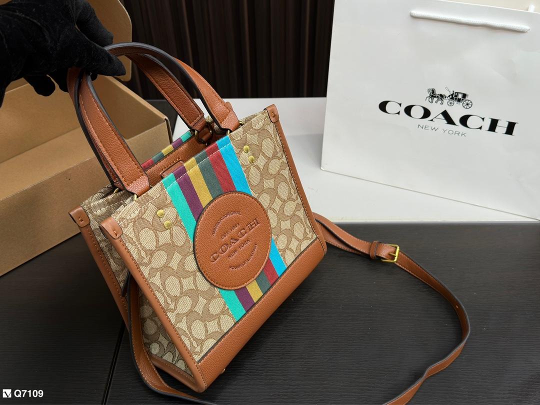 Replica Coach Bag 21*21CM