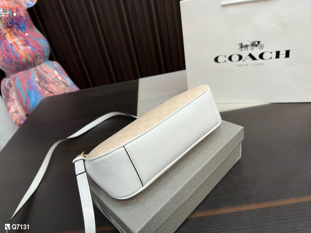 Replica Coach Bag 12*23CM