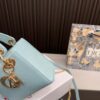 Replica Dior Bag  17*7*14CM