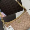 Replica Coach Bag 12*23CM