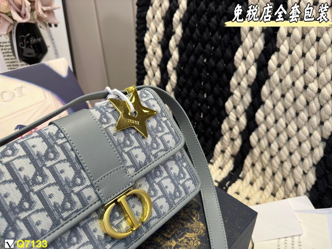 Replica Dior Bag 21*15CM