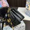 Replica Dior Bag 18*12CM