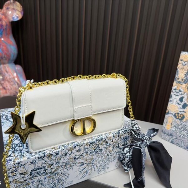 Replica Dior Bag 21*12CM