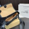 Replica Coach Bag 18*21CM
