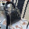 Replica Dior Bag 17CM/20CM