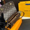 Replica Louis Vuitton Bag 22*15CM