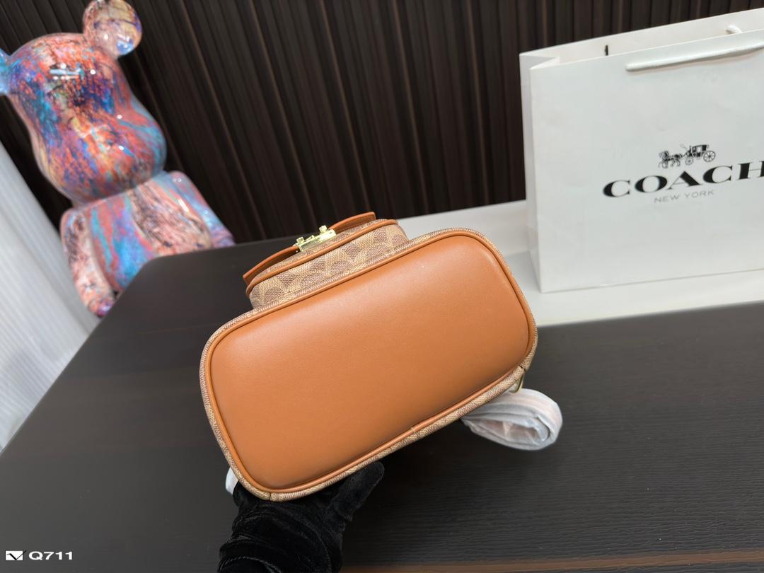 Replica Coach Bag 22*24CM