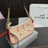 Replica Coach Bag 12*23CM