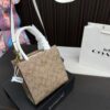 Replica Coach Bag 16*17CM
