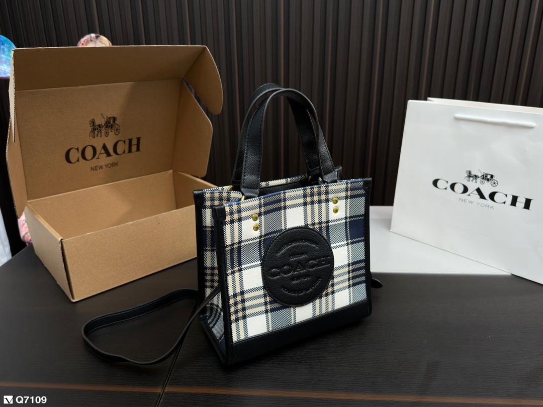Replica Coach Bag 21*21CM