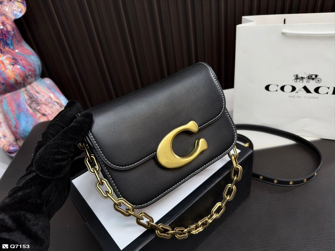 Replica Coach Bag 20*15CM
