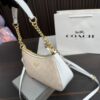 Replica Coach Bag 12*23CM