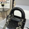 Replica Dior Bag 17CM/20CM